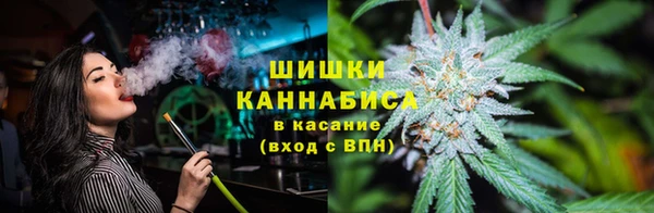 шишки Арсеньев