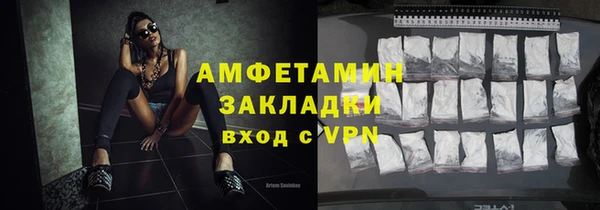 шишки Арсеньев