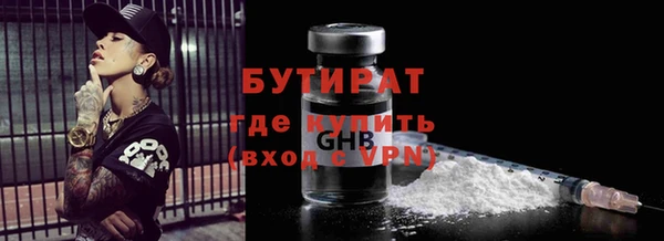 шишки Арсеньев