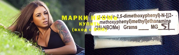 шишки Арсеньев