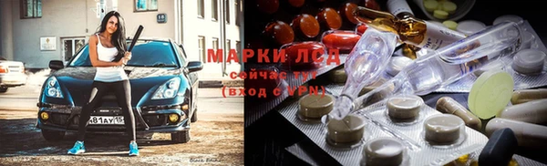 шишки Арсеньев