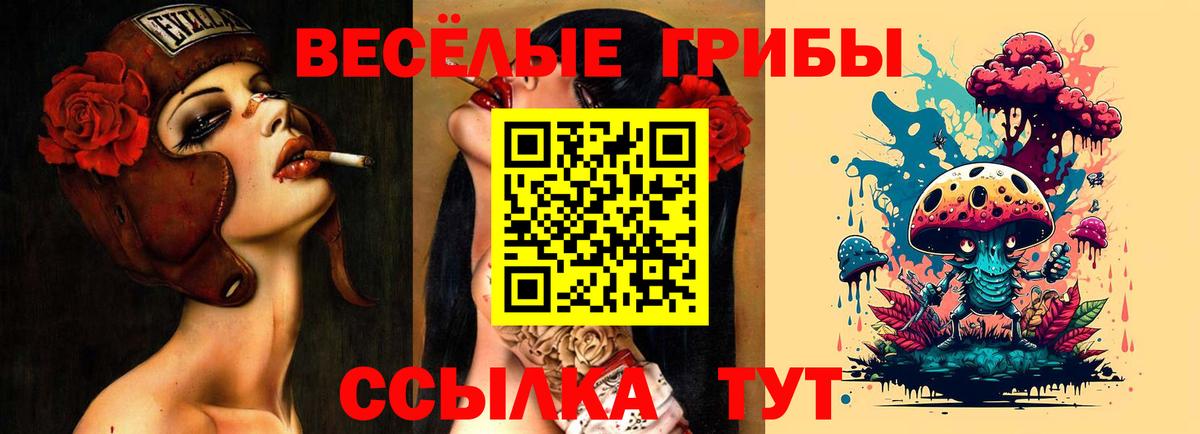 Галлюциногенные грибы прущие грибы  Вход с VPN  Верхняя Салда  Псилоцибиновые грибы GOLDEN TEACHER 